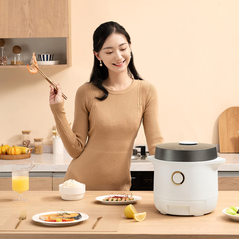 Zhang Xiaoquan 10 In 1 Digital Electric Pressure Cooker Canner